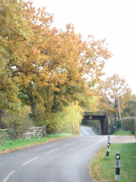 parish images 4.jpg